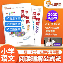 小学语文阅读理解公式法 通用版讲解篇专项训练 儿童辅教 练习册