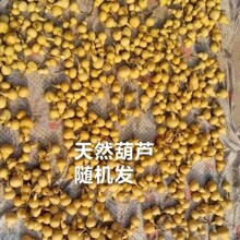 ���J��Ʒ�P��С���J��Ȼ�Nֲ���J�������J������J������J���l