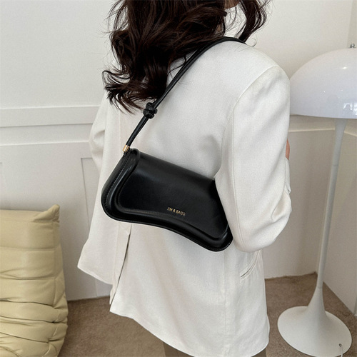 Niche design bag for women  spring new fashion popular crossbody bag casual commuting shoulder bag armpit bag