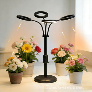 Ledֲ�������A�^��sȫ���V�Gֲˮ�廨��ș����ֲ�����L�a���%