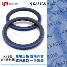 �������M��KASTASҺ��������/�����ܷ�ȦK49���Ώ����w�p�����׼�