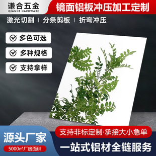 ����ALANOD�����X95%�R�淴�����X��320GꖘO���������R���X��