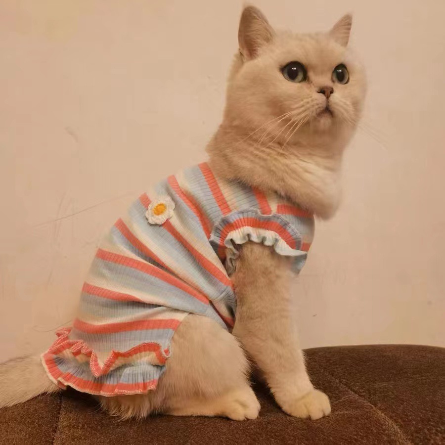 레인보우 조끼 XD 핑크 블루