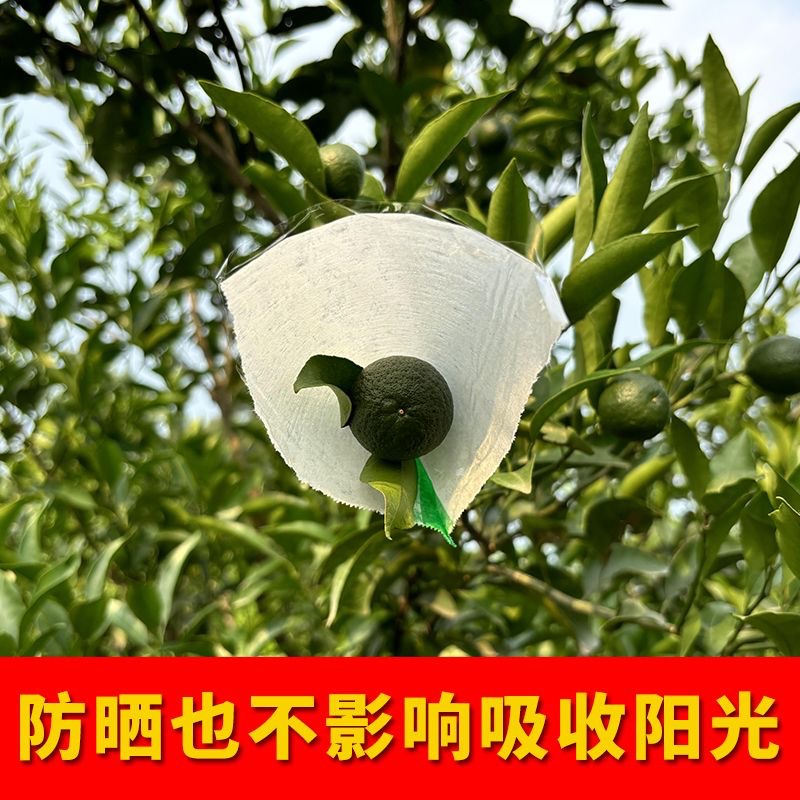 微信图片_20250603155822