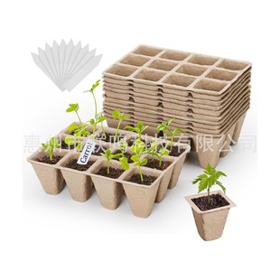 �N�ӆ�����ɽ��⼈�{���籭���N���������I�B��12�����籭