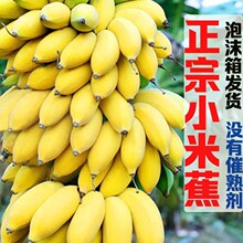 �V��С�׽��������rˮ��С�㽶�Ž����l������O�����۽�