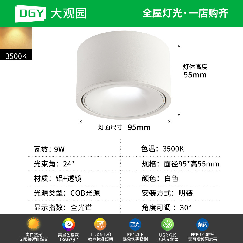 Da Guan Jardín luz de reflector anti-deslumbramiento colina sala de estar sin luz principal luz de techo downlight led corredor luz de techo 495L image 17