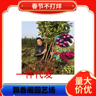 ���_˹8̖���ҹ�������˙��Ҙ��箔��Y�� ��ɫ����܇���Ӵ����