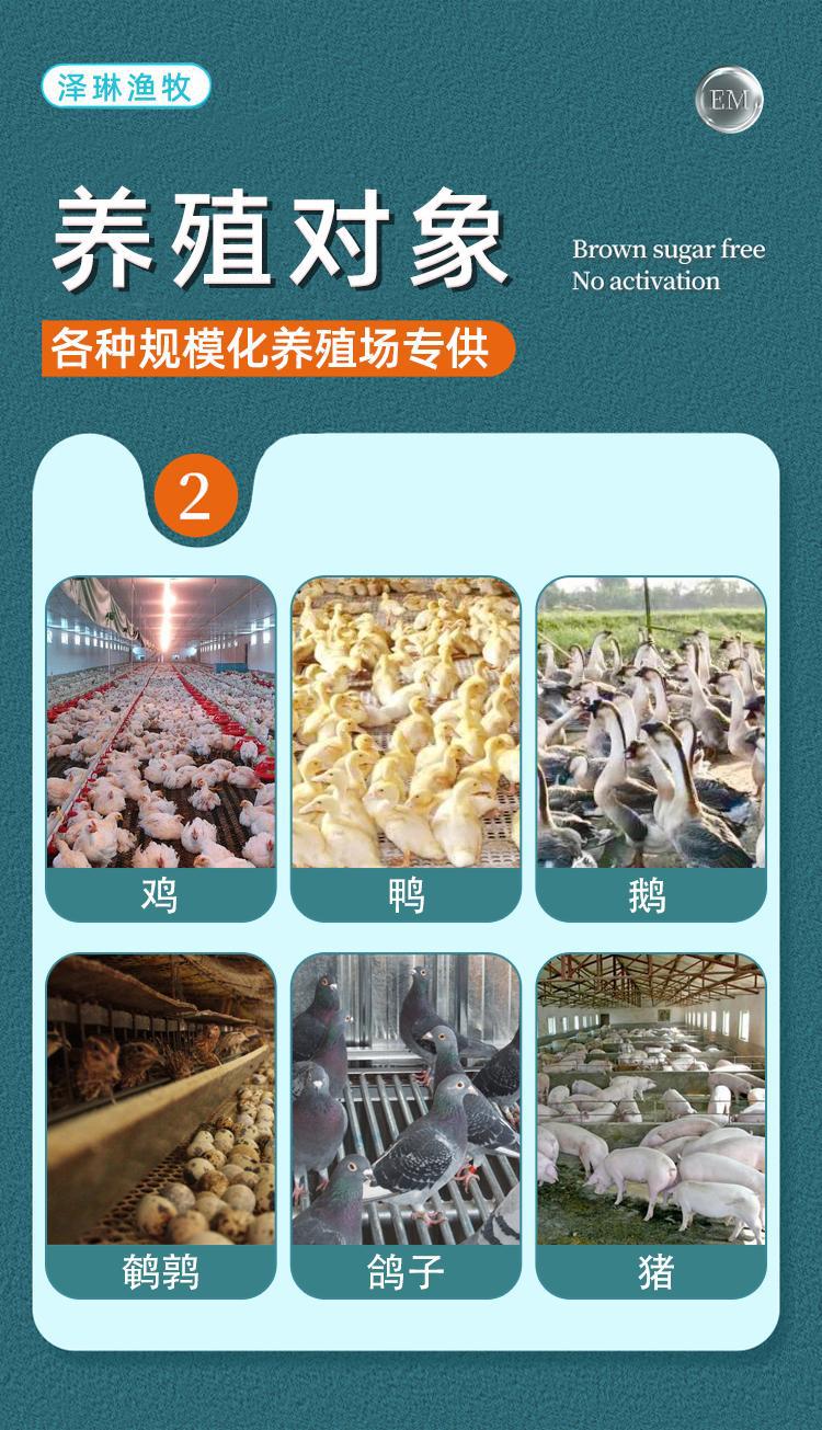 一键上货_20250810125339