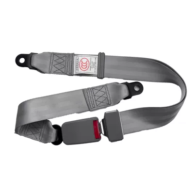 belt, two-point safety belt for – Car seat belt - silver-gray-side-insert-14m