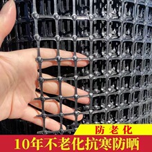 加厚养鸡养鸭网塑料网围栏防护网玉米网果园圈地隔离网格栅养殖网