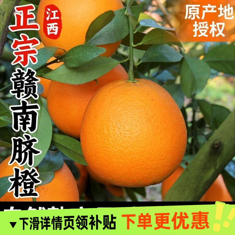江西赣南脐橙橙子甜新鲜赣州脐橙水果摘手剥应季橙子甜橙整箱包邮