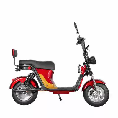 Elektrikli motosikletlər, tire electric vehicle adult electric
