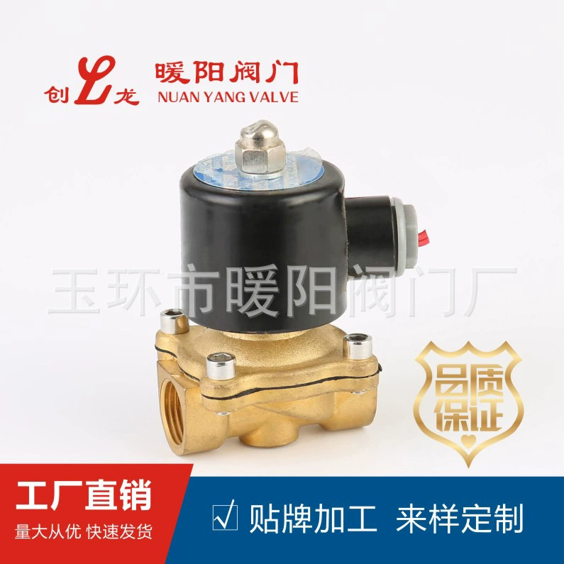 Завод питания медной проволоки порт электромагнитный клапан латунный корпус электромагнитный клапан нормально закрытый Электрический электромагнитный клапан AC220 электромагнитный клапан