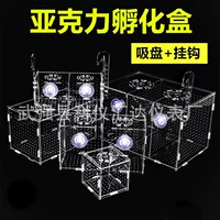 Изоляционная коробка для аквариума Инкубационная коробка для молодых рыб Аквариум Акриловая Многоклеточная изоляционная коробка Инкубационная коробка