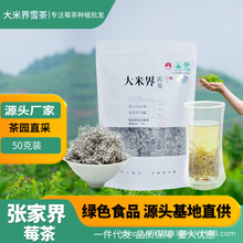 大米界雪茶张家界茅岩河藤茶土家袋装自有莓茶茶园茶厂基地直供