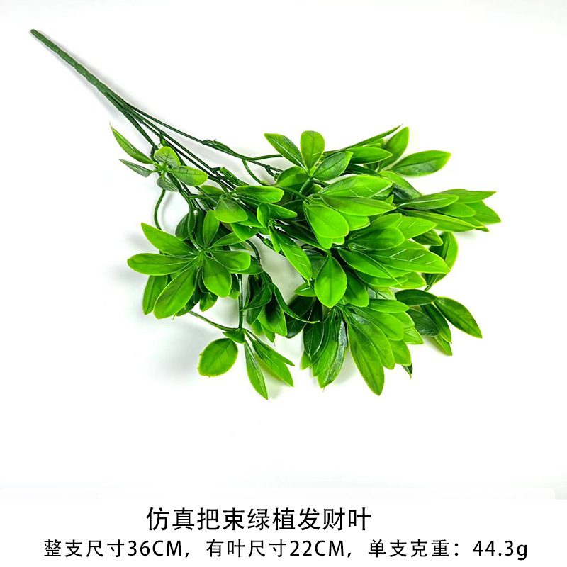 녹색 식물과 행운의 잎의 시뮬레이션 묶음