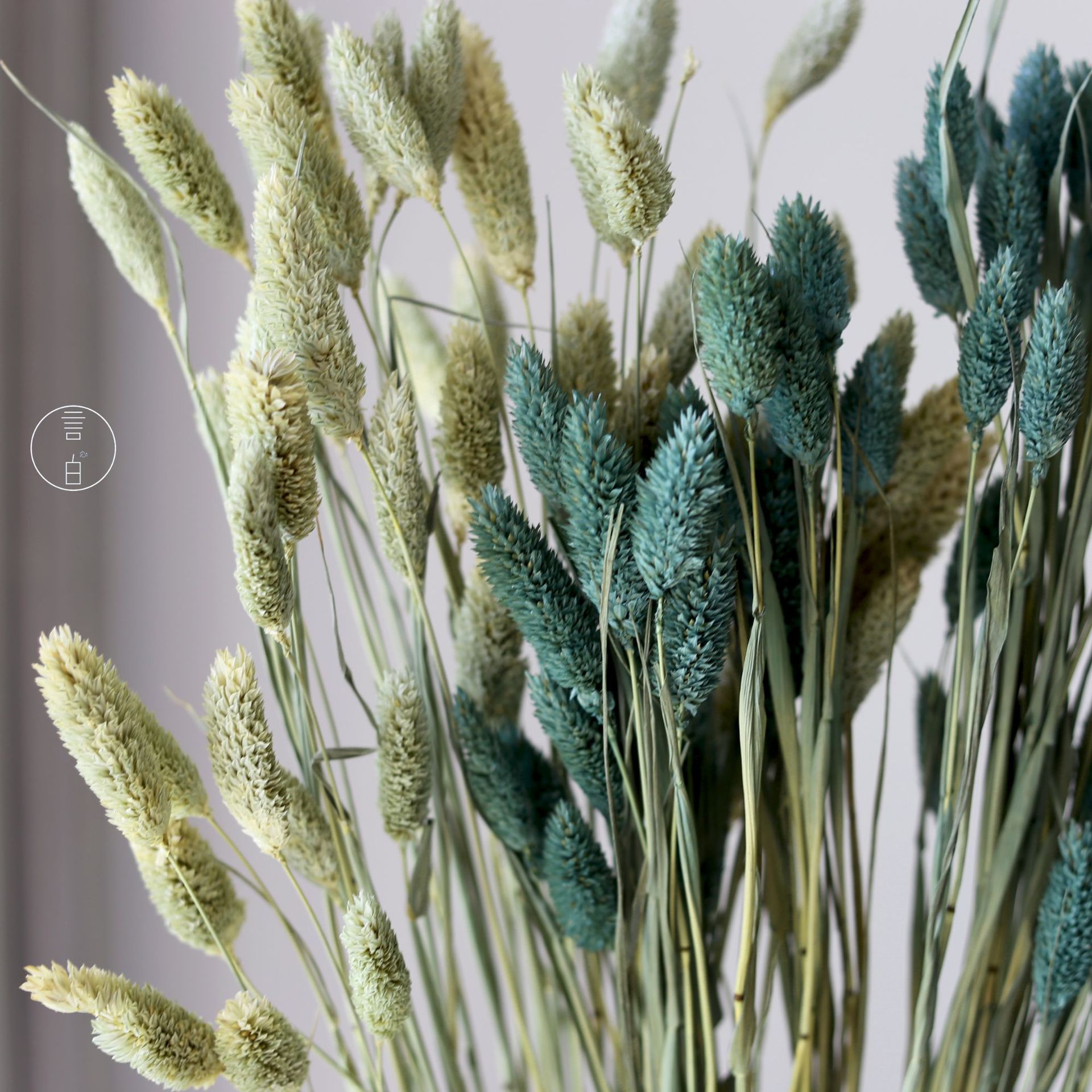 Gem grass dried flowers, eternal flowers, real dried flowers, rabbit tail grass manufacturers wholesale ins photo props flower arrangement decoration with grass