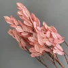 Fuchsia, golden, 150 gram
