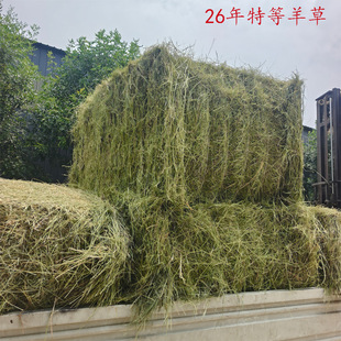 26���ص�����R�����|�� ţ���R����@�øɲ�����