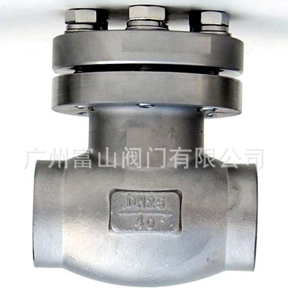 DH61F-40P低温止回阀  不锈钢低温止回阀 富山液化气氨气安全阀