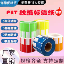 通信标签纸70*24mm 彩色标签六色P型线缆pet防水电信机房网络布线
