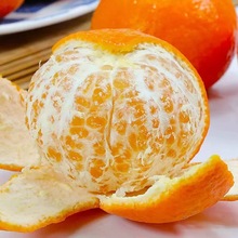 廣西武鳴沃柑4.5-5斤/8斤新鮮水果柑橘當季整箱一件代發批發