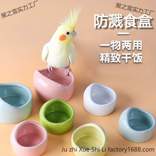 ���P�W�^�մ�ˮ���Bʳ���B�\������Bʳ���ȫ�W�^ʳ�����\�W�Է�