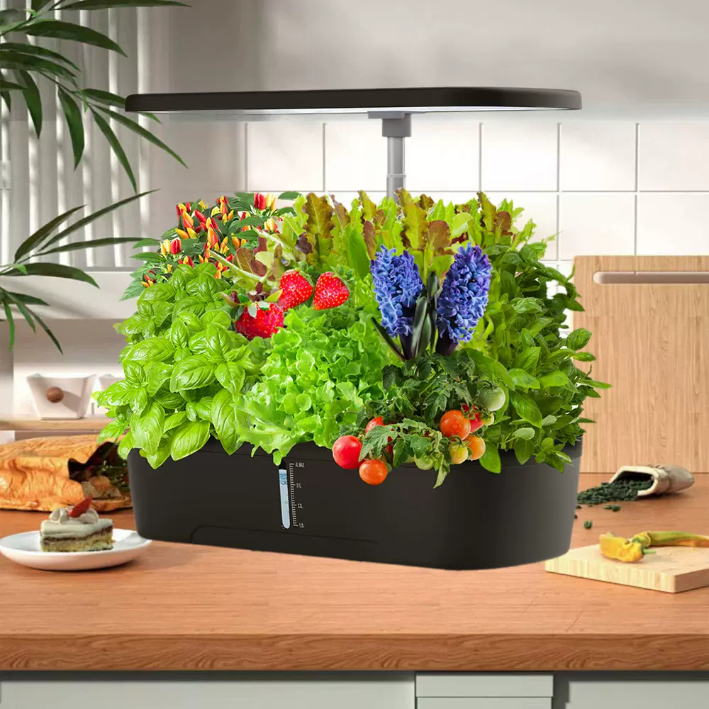 亚马逊懒人种菜箱水培种植机家用补光植物生长灯水培补光专家