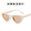 Brand fashionable sunglasses, trend glasses solar-powered, 2021 collection, cat's eye, European style, simple and elegant design