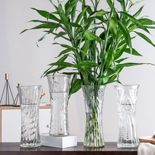 厂家批发透明富贵竹玻璃花瓶大号水培富贵竹百合鲜花花瓶摆件装饰