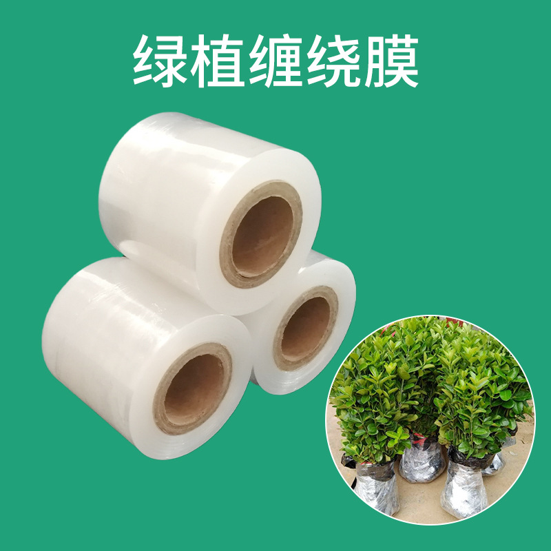 植物缠绕膜花卉绿植包裹捆扎6cm8cm10cm物流运输保护