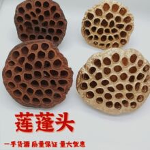 ��֧�͏d�U����߸�ɏ����������Ȼɏ��ɻ��͹ŔzӰ����ԭɫ��ɫ