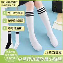 ��ͯ�m���ļ�����С���m�W��͸��WԺ�L�ڰחl�y���������m�ӬF؛