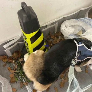 ����Ȯ���������c���������FͰ�������������ώ���߅��