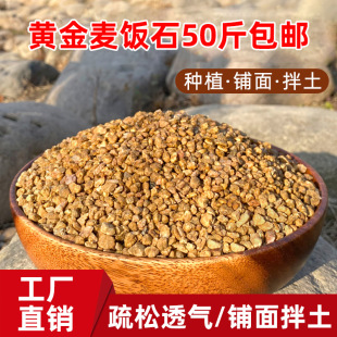 �S��ܛ���ʯ50����]���⌣���w�������Nֲ�B���������ʯ���ʯ