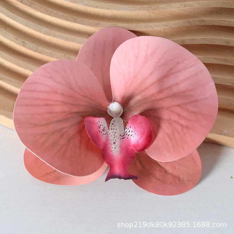 胡蝶蘭の花の頭は花びらの部品をシミュレーションします。|undefined