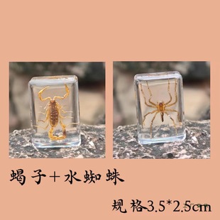 Real Insect Specimen Real Insect Animal Scorpion Spider Golden Turtle Amber Kidsren's Christmas Gift Toy Silk Flower