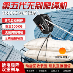 便利な高所作業用リチウム電池ロープクライミングマシン、ワイヤレスリモコン昇降ホイスト、エアコン室外機吊り下げロープクライミングマシン