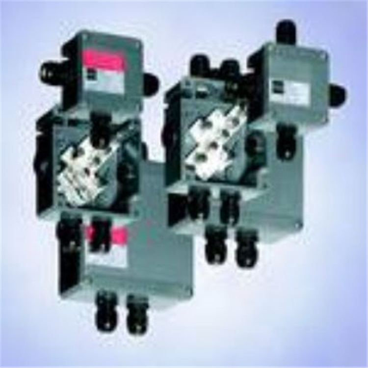 R.STAHL栅 转换器8070/1-2-HR311