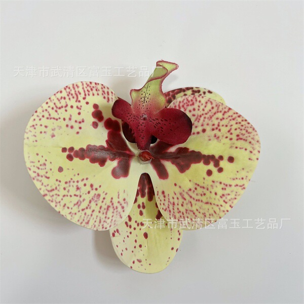 Phalaenopsis Orchid Head Simulated Flower Printed Film Flower…
