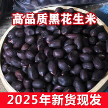 正宗新货大小粒黑花生米带壳生的原味种籽500g晒干山东黑皮富含硒