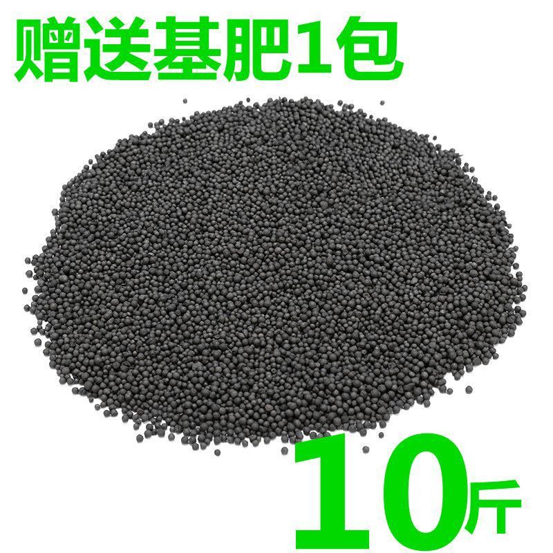 수생식물머드【5kg】강화정수버전 - 수생식물머드[종자없음] + 기초비료 단독구매