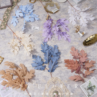 ����~����پGֲ���֦�~�Ӳ廨�쾰��Y·����c�����b����l