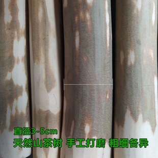 ��ʽ�Ͳ���޲����ĥ�����׺����v������ʳ��v����ľ��
