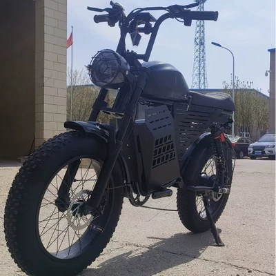 Fat Tire E-Bike | Diàndòngchē Auto Parts and Accessories