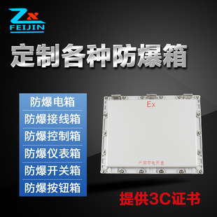 Explosion-proof distribution box 300*400 explosion-proof control box junction box empty box instrument box lighting power junction box