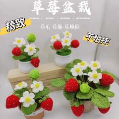 メーカーは手作りのかぎ針編みのイチゴの鉢植えの置物を卸売りします。