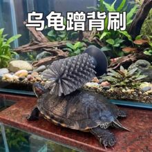 ����ˢ�坍ˢ�m��ˢ�t�Ʊ�ˮ����ƿϴˢ������ˢ���������P