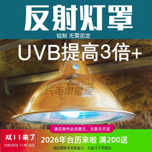 F؛VֲP䓷֬FsйS}led